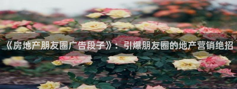 九游会app官方