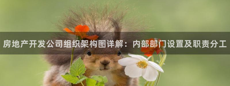 九游会j9官网ag